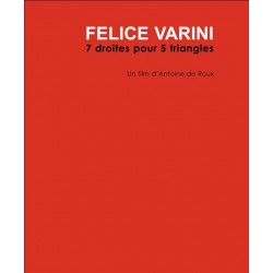 Felice Varini - 7 droites pour 5 triangles