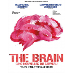 Cinq nouvelles du cerveau -...