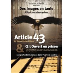Article 43